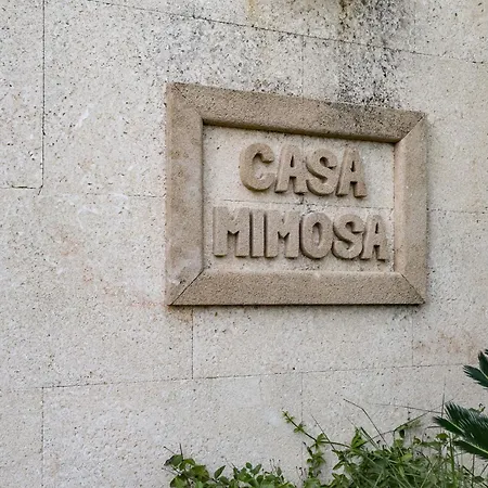 Casa Mimosa 别墅 *
